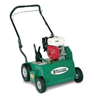 Dethatcher (rake - power)